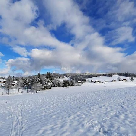 Gemuetliche Ferienwohnung Fuer 4 Gaeste In Schoenwald Schönwalde Екстериор снимка
